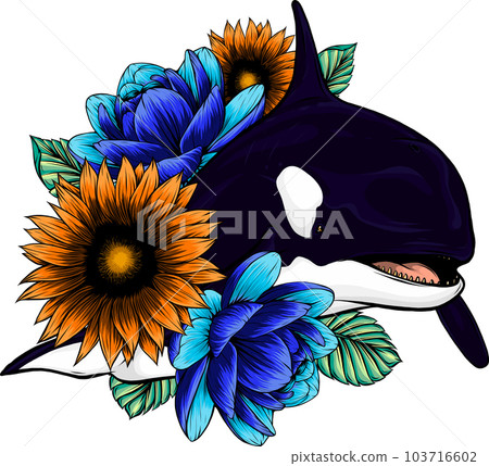 Killer Whale or Orca vector illustration design 103716602