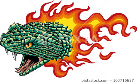snake head hand drawn vector illustration design snake head hand drawn vector illustration design 103716657