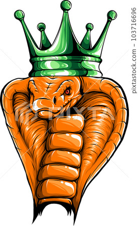 animal cobra head colored vector illustration design animal cobra head colored vector illustration design 103716696