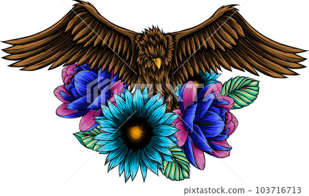 hand draw of eagle vector illustration design 103716713