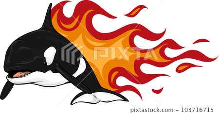 Killer Whale or Orca vector illustration design 103716715