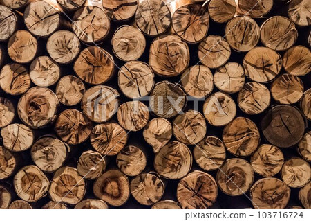 background of wood logs, wood stack. In different shape and color 103716724