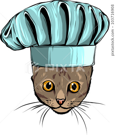 hand draw of cat head vector illustration design hand draw of cat head vector illustration design 103716908