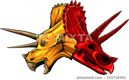 skull of triceratops dinosaur. vector illustration design skull of triceratops dinosaur. vector illustration design 103716942