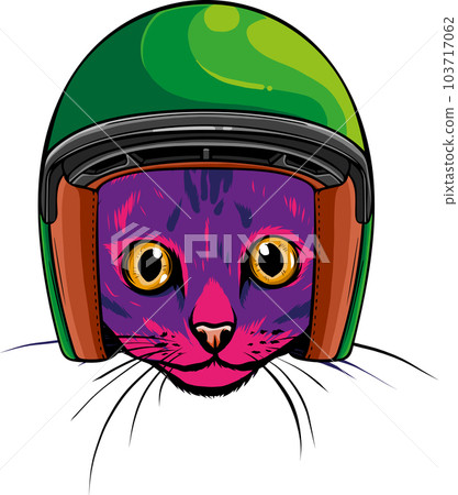 hand draw of cat head vector illustration design hand draw of cat head vector illustration design 103717062
