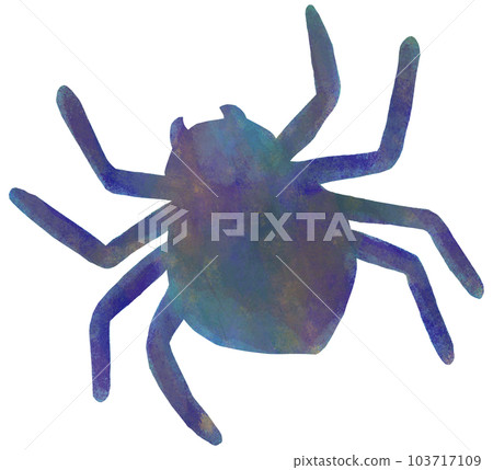 simple spider illustration simple spider illustration 103717109