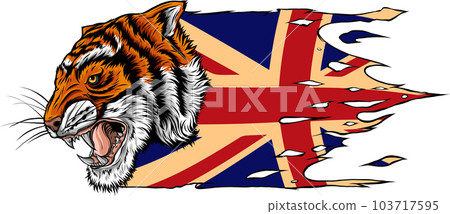 tiger head in detailed style vector illustration design tiger head in detailed style vector illustration design 103717595