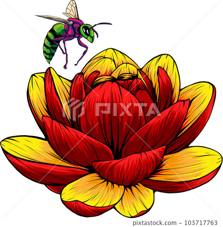 Beautiful flower Lily Lotus vector illustration design Beautiful flower Lily Lotus vector illustration design 103717763