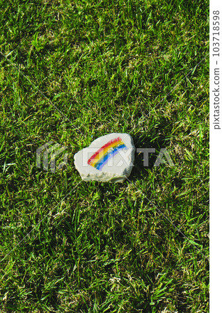 rock with a rainbow flag on the grass 103718598