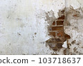 The old cement wall has decayed cracks until you can see the bricks inside. 103718637