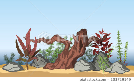 Aquarium underwater interior. Cartoon background of aquatic plants. Horizontal water landscape. Colorful aqua scene 103719149