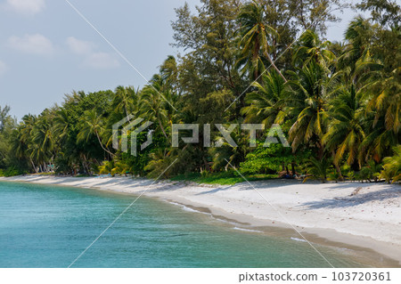 tropical beach,Koh Samui, Surat Thani,Thailand, tropical beach,Koh Samui, Surat Thani,Thailand, 103720361
