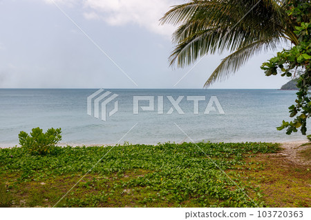 tropical beach,Koh Samui, Surat Thani,Thailand, tropical beach,Koh Samui, Surat Thani,Thailand, 103720363