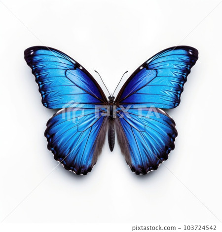Blue butterfly isolated. Illustration AI Generative 103724542
