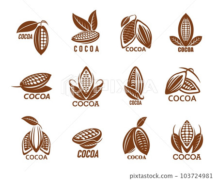 Cocoa icons, cacao or chocolate beans with leaf, vector coffee tree symbols. Cocoa seeds icons for food labels of candy, choco cream or butter and chocolate drink or dessert products 103724981
