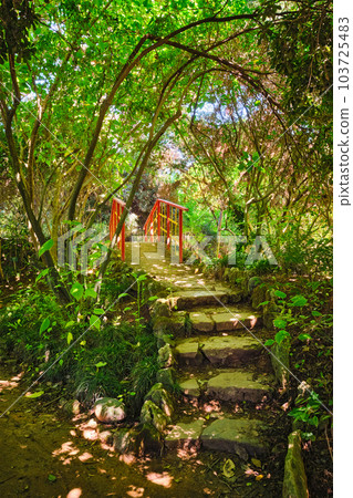Red Chinese style bridge with wooden railings in lush greenery of asian part of tropical botanical garden in Lisbon, Portugal 103725483