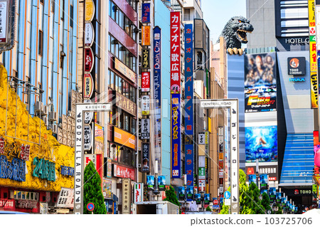 Cityscape of Kabukicho, Shinjuku-ku, Tokyo Kabukicho Godzilla Road (Central Road) Cityscape of Kabukicho, Shinjuku-ku, Tokyo Kabukicho Godzilla Road (Central Road) 103725706