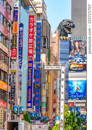 Cityscape of Kabukicho, Shinjuku-ku, Tokyo Kabukicho Godzilla Road (Central Road) 103725707