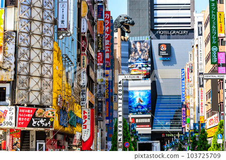 東京都新宿區歌舞伎町街景 歌舞伎町哥斯拉路（中央路） 103725709