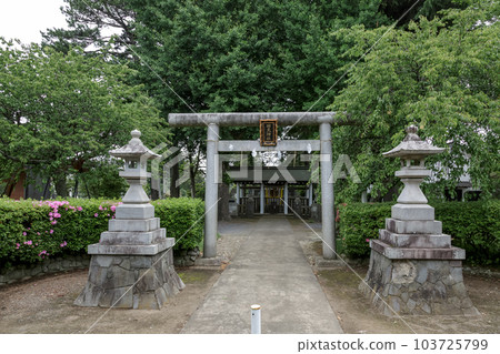Torii of Kaiten Shrine dedicated to Mito Kinno Martyrs [Mito, Ibaraki Prefecture] 103725799