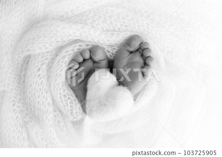The tiny foot of a newborn baby. Soft feet of a new born in a wool blanket. Close up of toes, heels and feet of a newborn. Knitted heart in the legs of baby. Macro photography. Black and white. The tiny foot of a newborn baby. Soft feet of a new born in a wool blanket. Close up of toes, heels and feet of a newborn. Knitted heart in the legs of baby. Macro photography. Black and white. 103725905