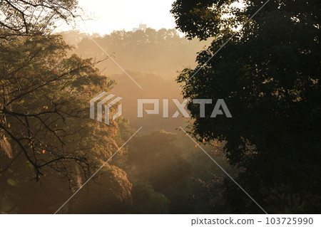 我在三池公園散步 103725990