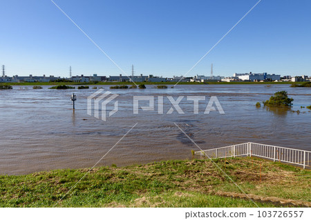 2019 East Japan Typhoon/Arakawa River on the verge of flooding due to rising water (near Toda City, Saitama Prefecture) 103726557