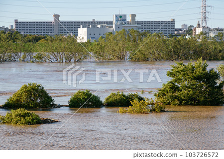 2019 East Japan Typhoon/Arakawa River on the verge of flooding due to rising water (near Toda City, Saitama Prefecture) 103726572