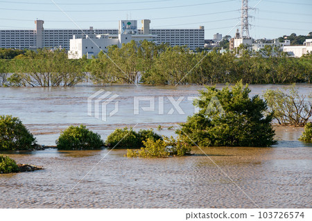 2019 East Japan Typhoon/Arakawa River on the verge of flooding due to rising water (near Toda City, Saitama Prefecture) 2019 East Japan Typhoon/Arakawa River on the verge of flooding due to rising water (near Toda City, Saitama Prefecture) 103726574