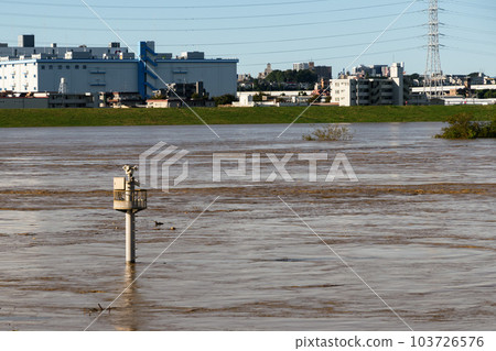 2019 East Japan Typhoon/Arakawa River on the verge of flooding due to rising water (near Toda City, Saitama Prefecture) 103726576