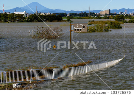 2019年東日本颱風和洪水淹沒的西湖道萬綠色公園 103726876