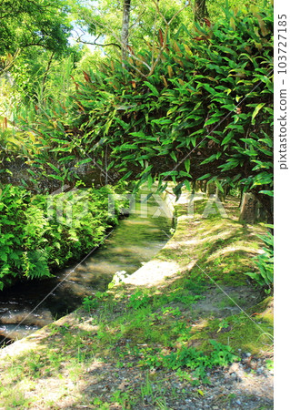 穿越大自然的金山橋灌溉渠 穿越大自然的金山橋灌溉渠 103727185