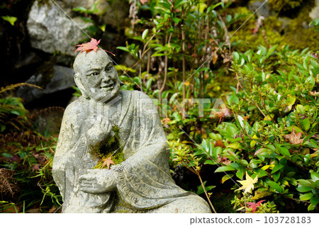 Autumn at Sanmei-in Temple 103728183