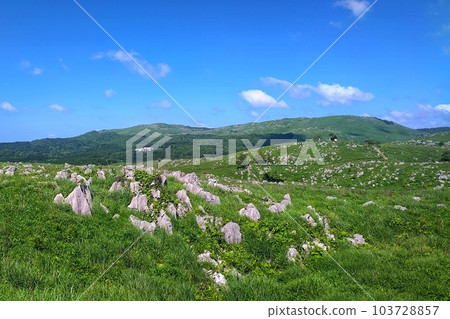 [Yamaguchi Prefecture] Akiyoshidai Quasi-National Park 103728857