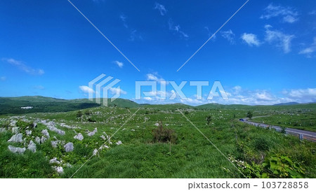 [Yamaguchi Prefecture] Akiyoshidai Quasi-National Park 103728858