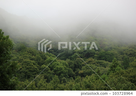 朦朧的山景 103728964