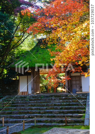 Fall of Honen's hospital 103729037