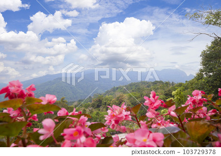 The Natural scenery overlooking the beautiful mountains and trees of Thailand. The Natural scenery overlooking the beautiful mountains and trees of Thailand. 103729378