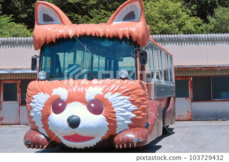 [Yamaguchi Prefecture] Akiyoshidai Natural Zoological Park Safari Land Red Panda Feeding Bus 103729432