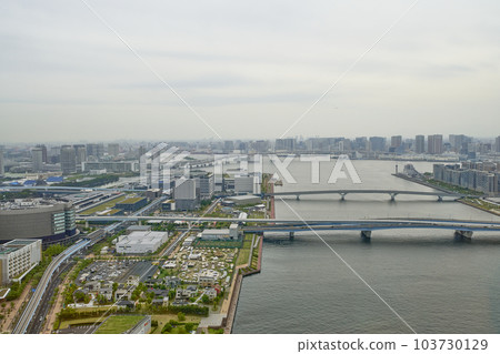 View from a skyscraper in front of Toyosu Station in Tokyo 103730129