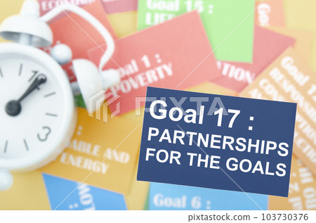 The Goal 17 103730376