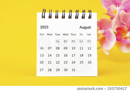 The August 2023 calendar desk and pink orchid on yellow background. 103730427