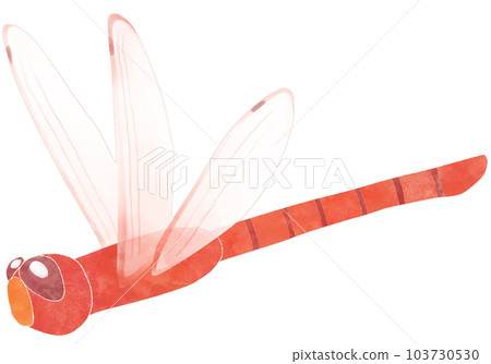 飛翔的紅蜻蜓插畫素材 飛翔的紅蜻蜓插畫素材 103730530