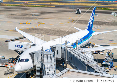[Tokyo] Airplane under maintenance at Haneda Airport 103730695