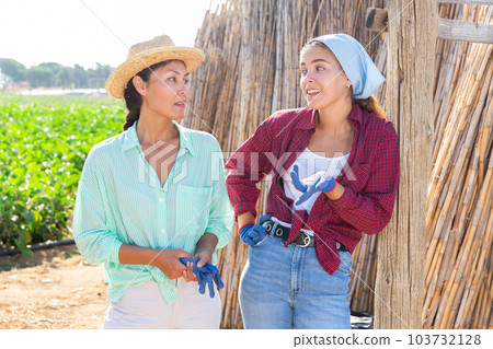 Two female workers talking 103732128