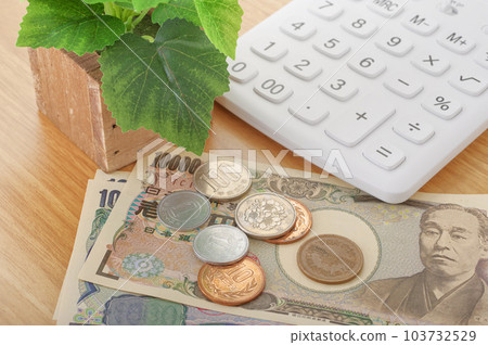Calculator and money 103732529