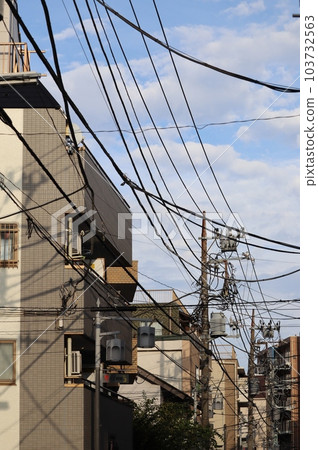 各種電纜和電線以及支撐它們的電線桿 103732563