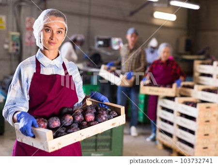 Woman holding crate with plums at warehouse Woman holding crate with plums at warehouse 103732741