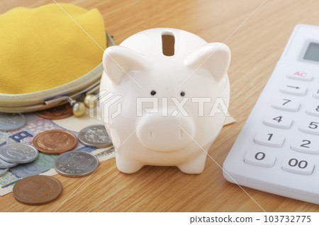 Pig's piggy bank and image of money 103732775