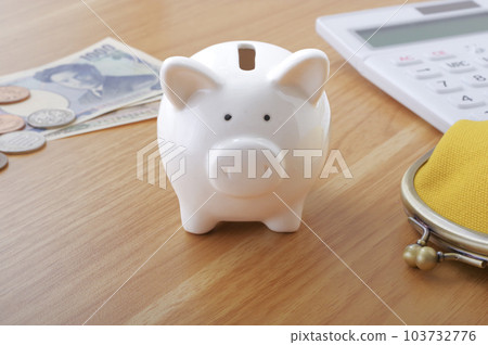 Pig's piggy bank and image of money 103732776